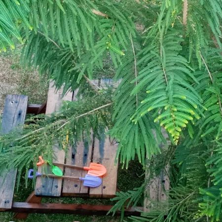 فندق N 34 ميريسا المظهر الخارجي الصورة